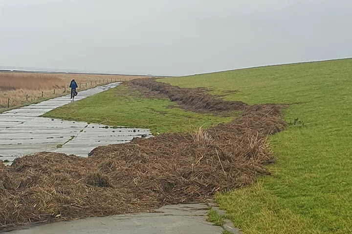 Teekbeseitigung nach Sturmfluten